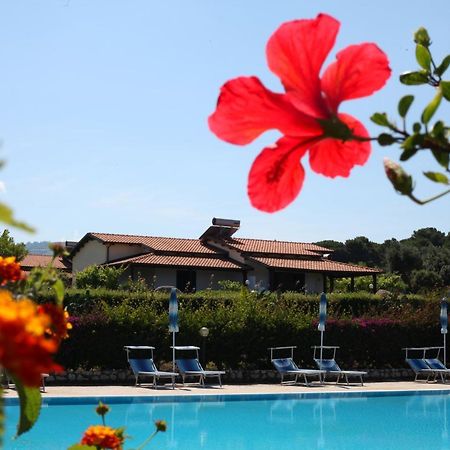 ריקאדי Agriturismo Ninea מראה חיצוני תמונה