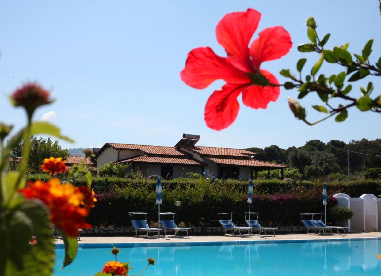 ריקאדי Agriturismo Ninea מראה חיצוני תמונה