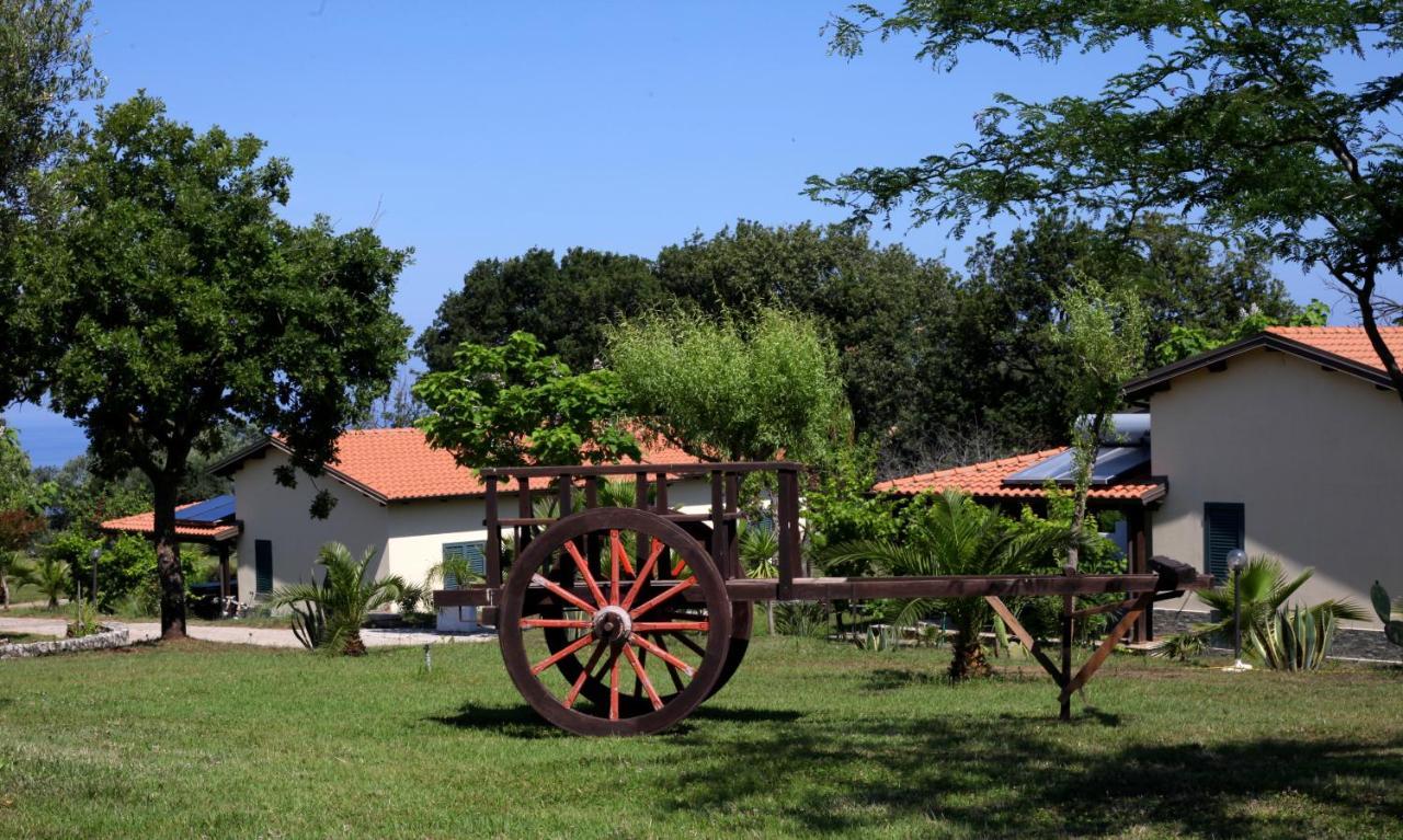 ריקאדי Agriturismo Ninea מראה חיצוני תמונה
