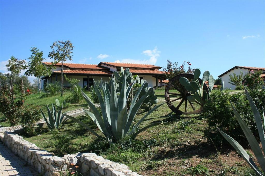 ריקאדי Agriturismo Ninea מראה חיצוני תמונה