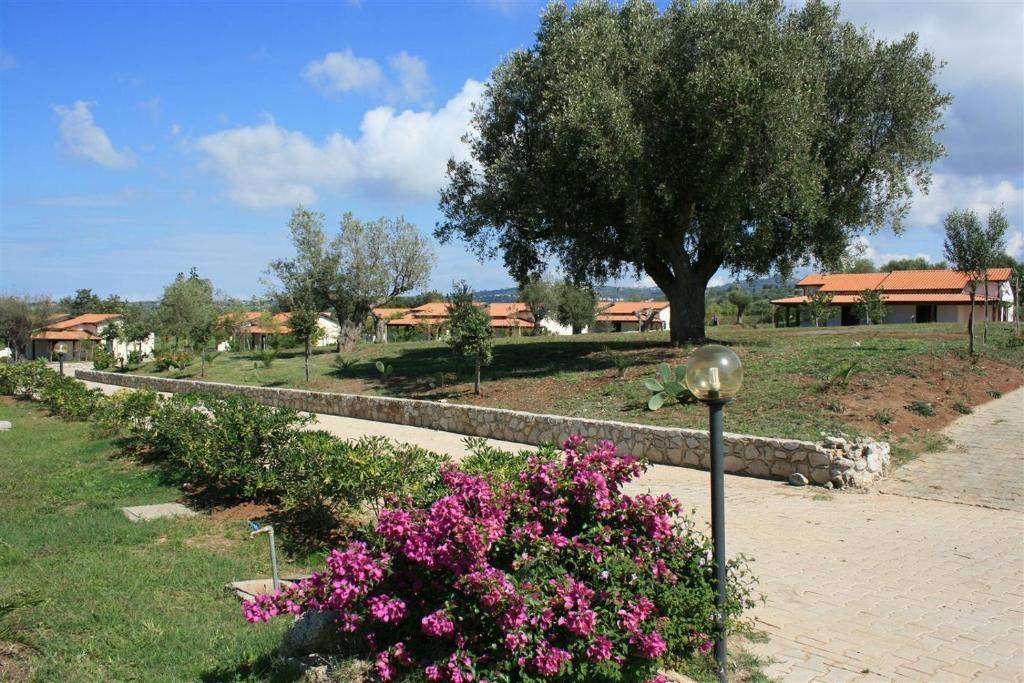 ריקאדי Agriturismo Ninea מראה חיצוני תמונה