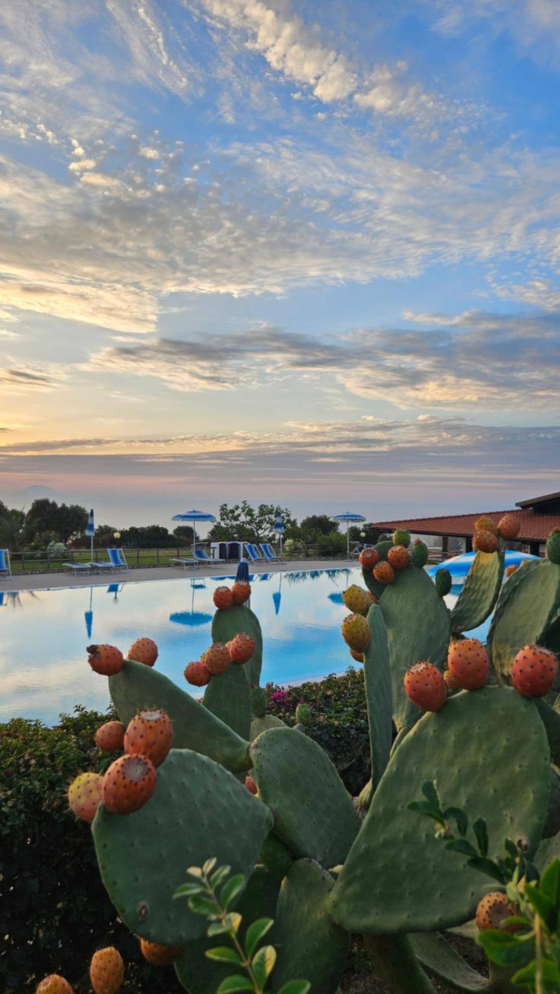 ריקאדי Agriturismo Ninea מראה חיצוני תמונה