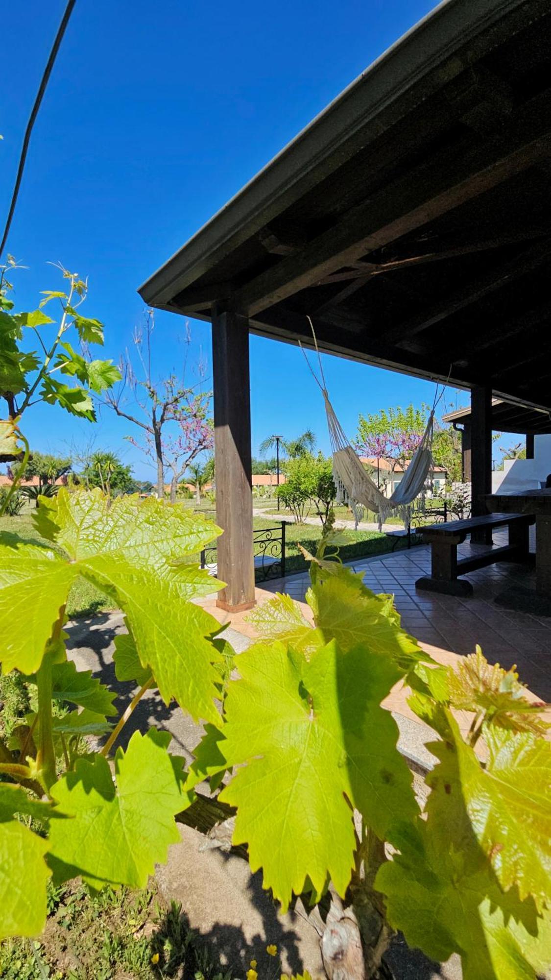 ריקאדי Agriturismo Ninea מראה חיצוני תמונה